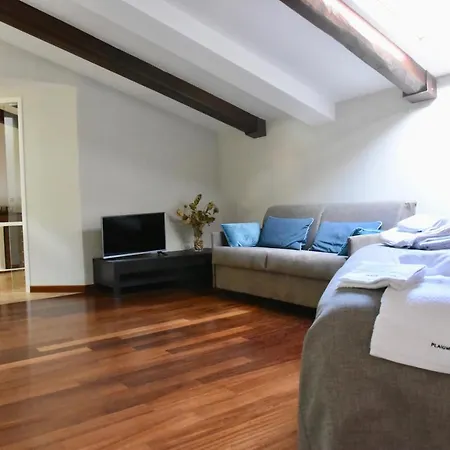 Plaium Montis Copeta Salernes